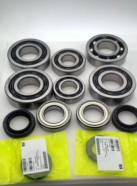 吉利帝豪EV253/300/350 驱动电机减速器轴承维修套装