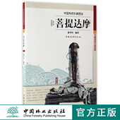 菩提达摩中国传统形象图说8883图案绘画木雕雕塑中国林业出版 畅销书 社官方旗舰店正版