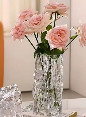 玻璃花瓶透明水养鲜花桌面插花器