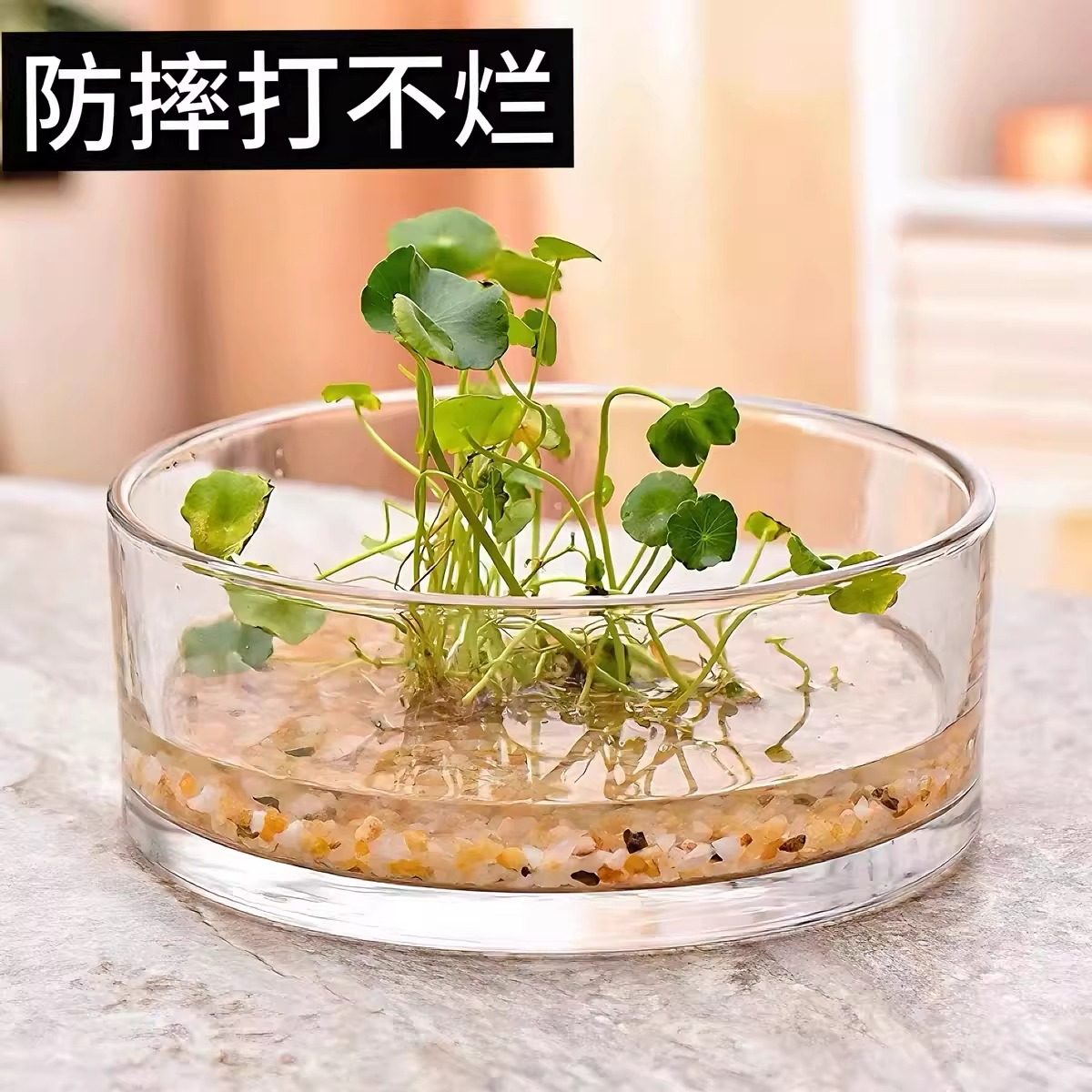 透明圆缸水培碗莲小鱼花器花瓶摆件透明缸花盆插花水养荷花亚克力