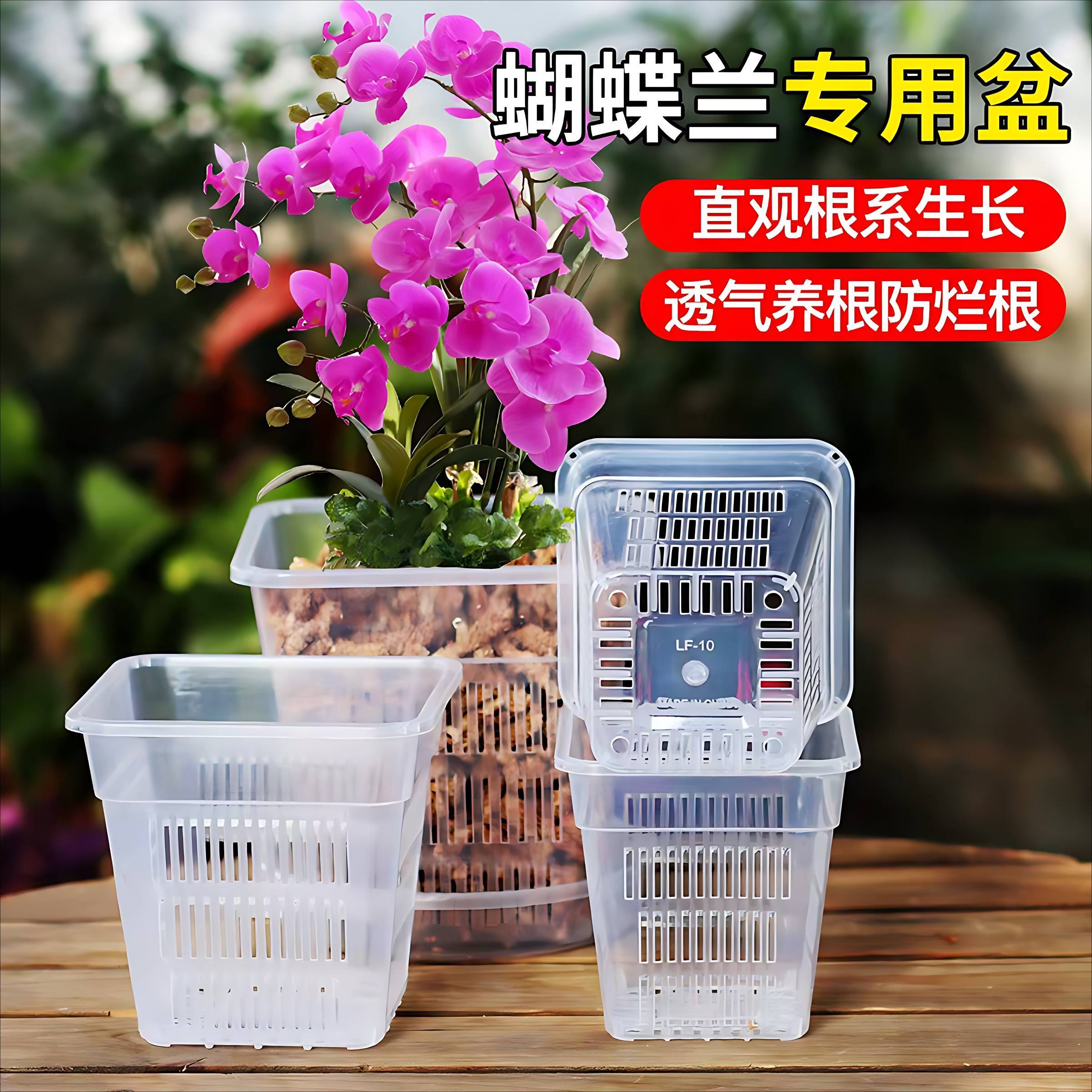 加厚透气塑料花盆兰花蝴蝶兰花盆