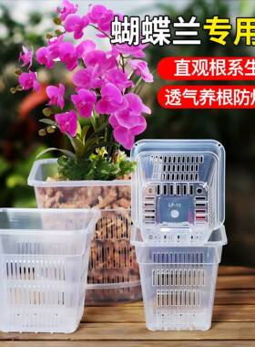 加厚透气塑料花盆兰花蝴蝶兰花盆