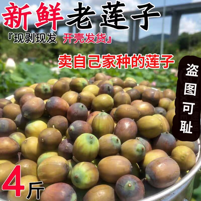 江西大颗粒红莲熟食煮汤糯香甜