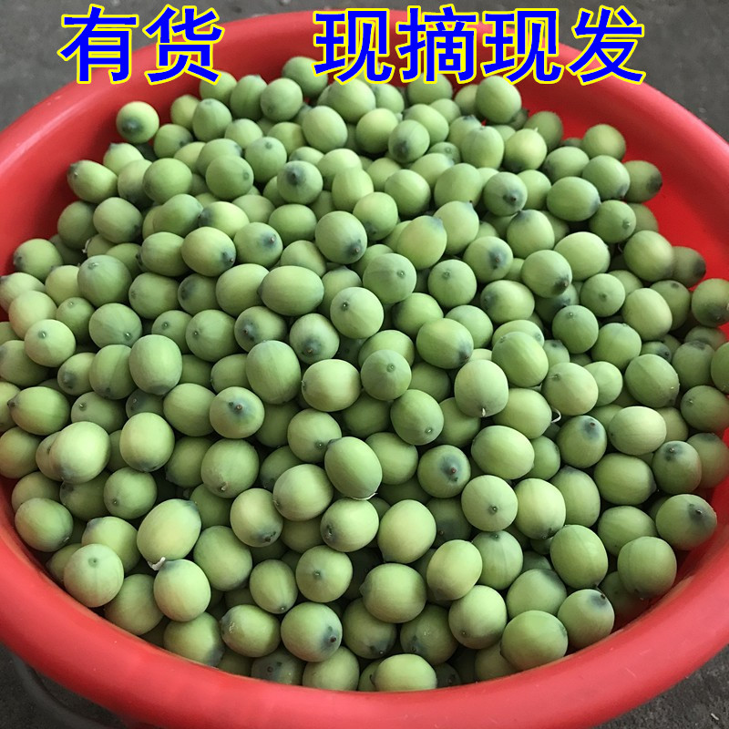 广昌白莲青莲子大个嫩莲子