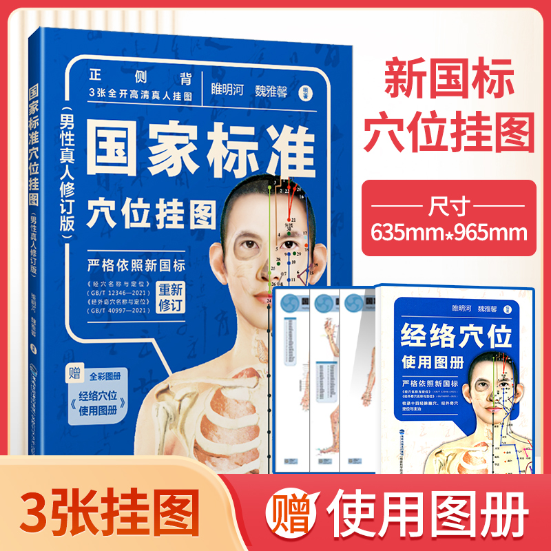 国家标准穴位挂图男性真人修订版