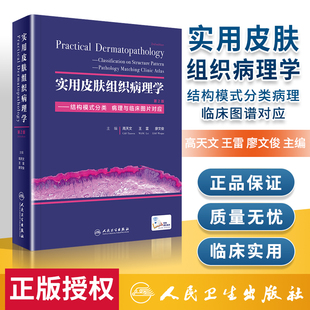 主编高天文王雷廖文俊 病理与临床图谱对应 分类 实用皮肤组织病理学第二2版 皮肤病临床诊断与鉴别 结构模式 皮肤病医生参考书