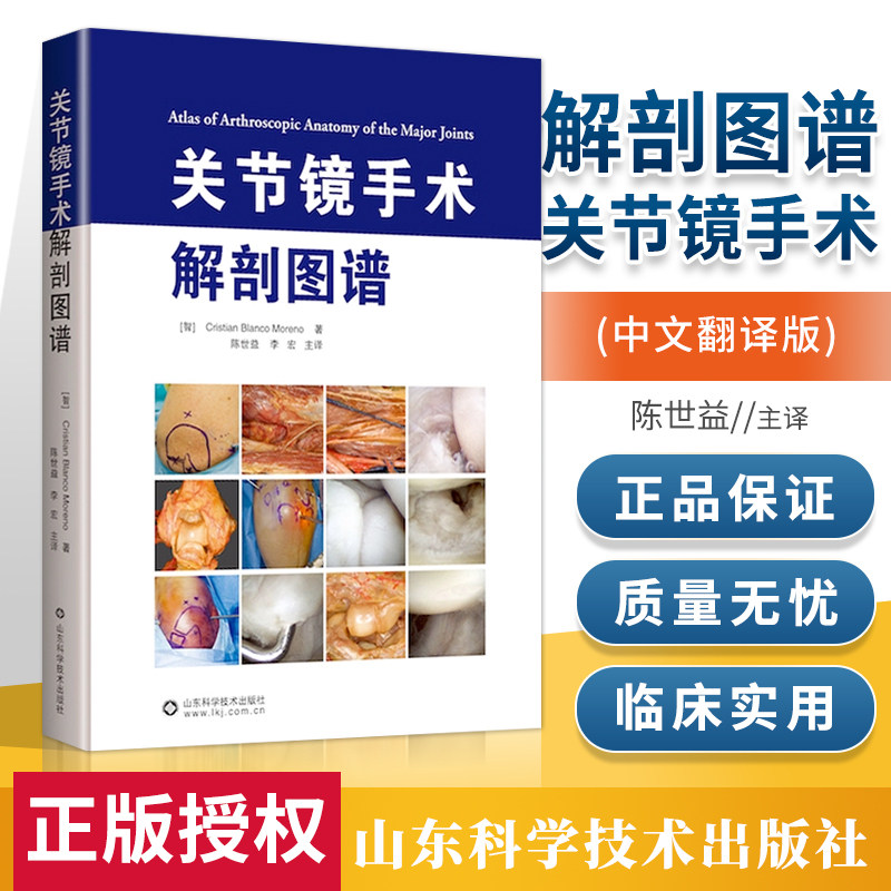 正版 关节镜手术解剖图谱 精装 陈世益 李宏译 关节镜手术解剖结构
