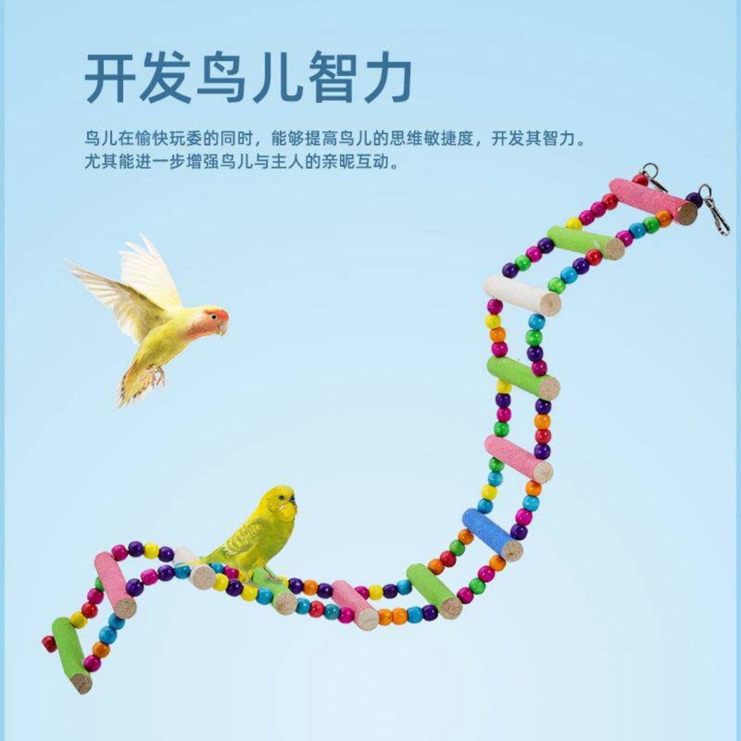 原木鹦鹉攀爬梯秋千磨爪鸟用秋千图片