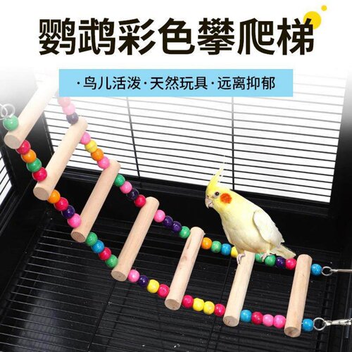 实木鹦鹉爬梯秋千远离抑郁