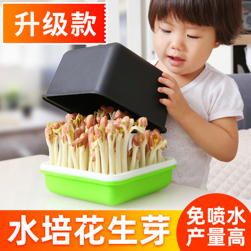 发芽神器水培箱盆牙机专用花生苗