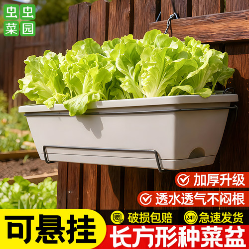 阳台长条种菜专用盆家用