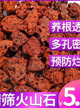火山石颗粒红色火山岩绿植盆栽多肉兰花专用铺面石颗粒土鱼缸底砂