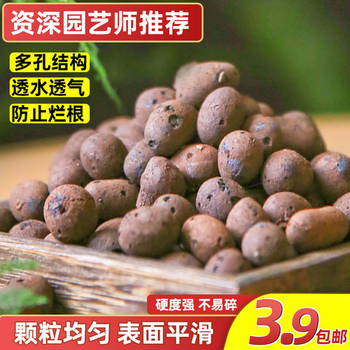 陶粒垫底多肉盆栽水培卫生间回填
