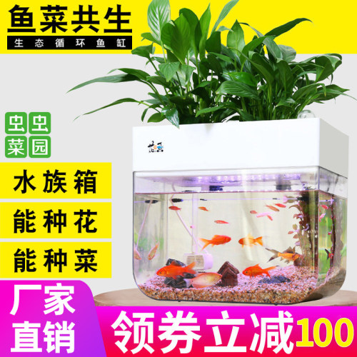 懒人鱼缸自循环免换水生态金鱼缸水族箱鱼菜共生系统客厅小型家用 - 封面