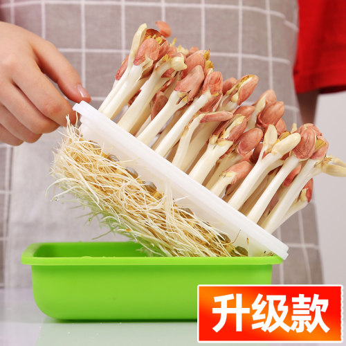 花生芽水培新鲜商用育苗盘神器