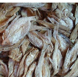 野生麻鲢小白鱼干500克 一条10多厘米 包邮 鸡西密山兴凯湖咸鱼