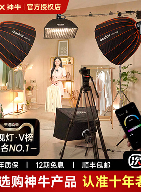 Godox神牛SL150W直播补光灯专业直播间柔光摄影常亮打光灯专用珠宝球形拍照服装主播室内灯光视频拍摄深抛led