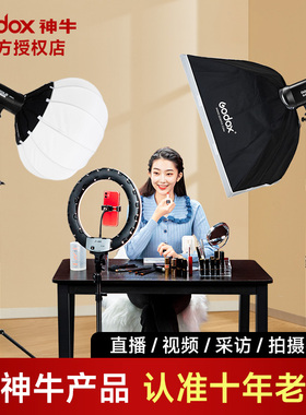 Godox神牛SL60II D/BI双色温直播补光灯二代拍照摄影打光灯led60W常亮灯视频室内柔光灯美食深抛灯服装面光灯