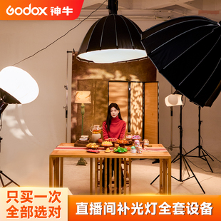 神牛SL300 BI三代氛围直播间补光灯全套摄影灯设备直播补光灯人像拍摄常亮柔光灯影室灯影棚珠宝网红拍照视频