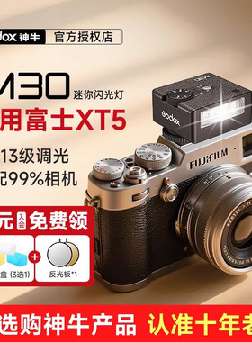 Godox神牛iM30/iM20迷你复古闪光灯相机专用机顶灯通用型适用索尼佳能尼康富士xm5/efx8/z30/xt5/xt3/xt30