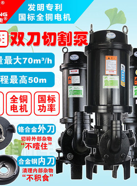 双刀切割式污水泵抽粪泥浆养殖场化粪池大功率380v三相潜水排污泵