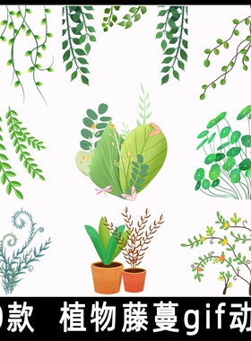 绿色植物藤曼gif动图 三叶草叶子柳树风中摇摆生长动态图片素材