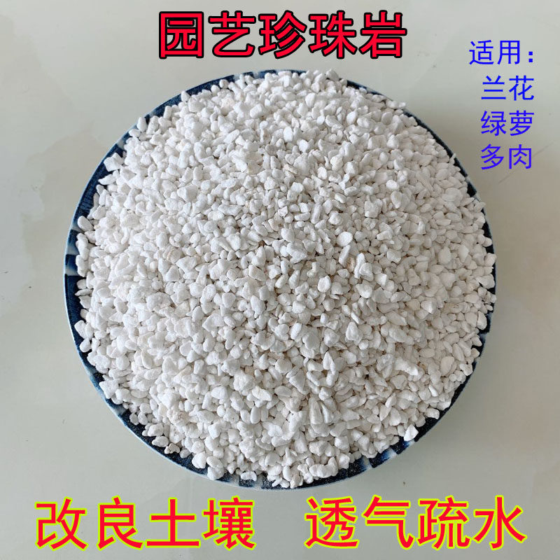 珍珠岩多肉月季绿萝栽培疏松土壤