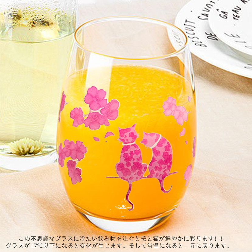 日本进口高木陶器冷感变色杯樱花猫咪玻璃杯啤酒杯果汁冷饮杯礼盒