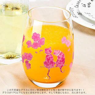 日本进口高木陶器冷感变色杯樱花猫咪玻璃杯啤酒杯果汁冷饮杯礼盒