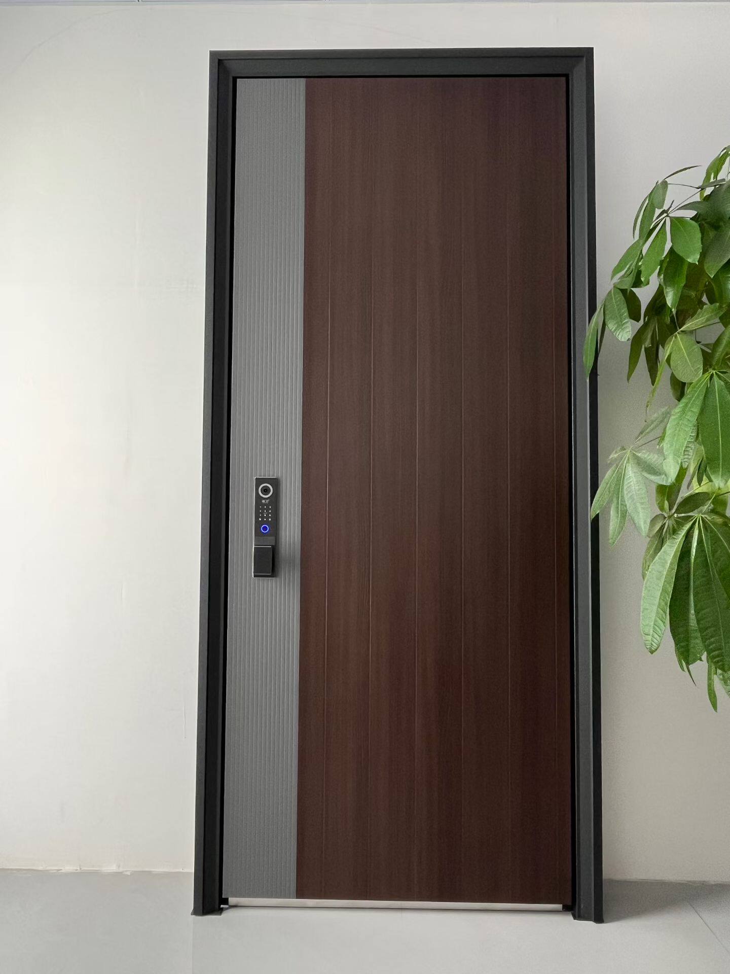 防撬钢新款家用小区自建房防盗门甲级门10公分入户门智能门进户门