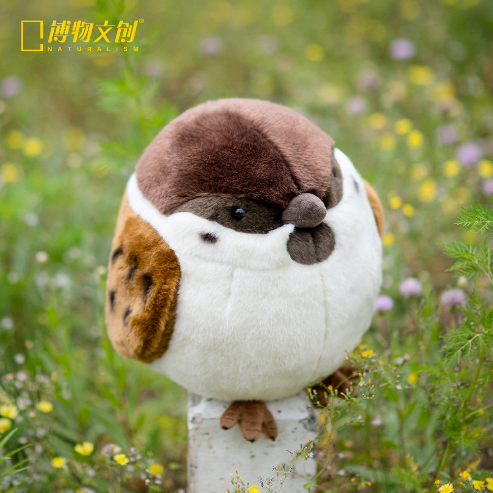 博物文创 圆宝系列树麻雀毛绒玩具儿童安抚玩偶公仔节日礼物,模玩/动漫/周边/娃圈三坑/桌游,动漫毛绒/抱枕/坐垫,淘宝优惠券,粉丝福利购,淘宝优惠卷