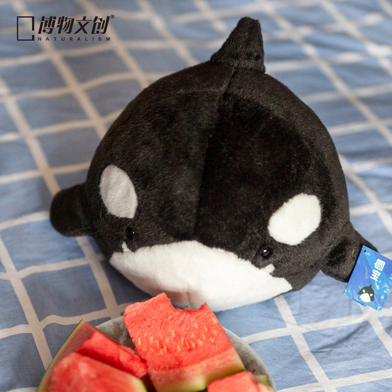 面料亲肤博物文创虎鲸毛绒玩具