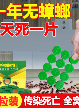 蟑螂药全窝端家用非无毒全窝端郁康贴片灭偷油婆神器一窝绝杀正品