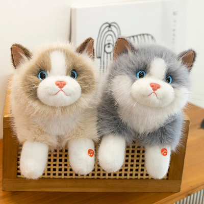 可爱猫咪发声玩偶毛绒玩具公仔女生仿真会叫布偶猫男女孩生日礼物