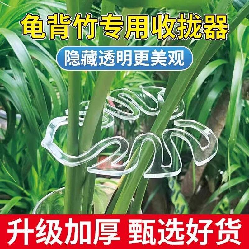 龟背竹支撑杆防倒伏支架水培植物固定器春雨富贵竹花茎枝干收拢器