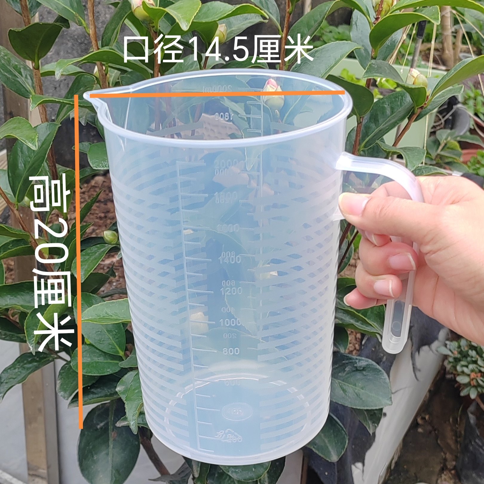 透明塑料量杯20cm大容量园艺浇水杯刻度手柄测量杯,鲜花速递/花卉仿真/绿植园艺,其它园艺用品,淘宝优惠券,粉丝福利购,淘宝优惠卷
