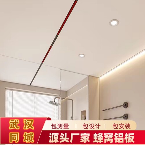 厨卫集成吊顶法狮龙蜂窝大板