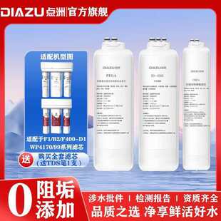 点洲净水器滤芯适用于飞利浦净水器F400-D1/WP3975/76/AUT743滤芯