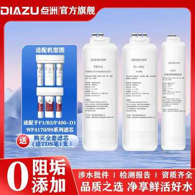 点洲净水器滤芯适用于飞利浦净水器F400-D1/WP3975/76/AUT743滤芯