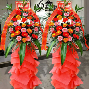 五莲县实验小学日客隆佳乐家却颇茶场市场新玛特开业花篮庆典乔迁