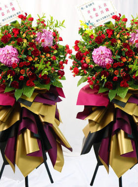 佛山禅城区张槎岭南天地普君新城市政府岭南明珠开业花篮庆典乔迁