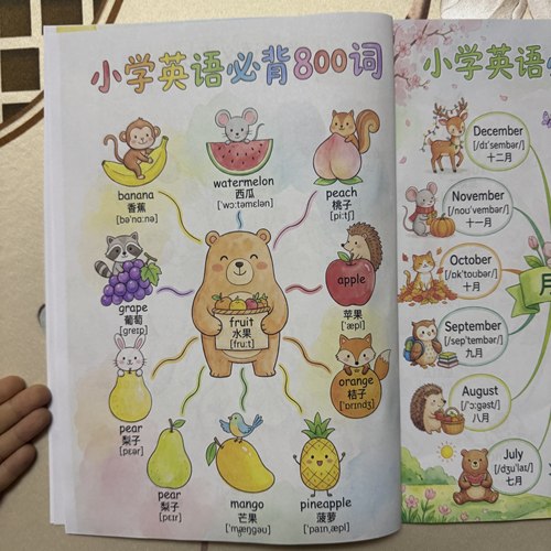 小学英语800核心高频词和小升初英语语法体系漫画版合集