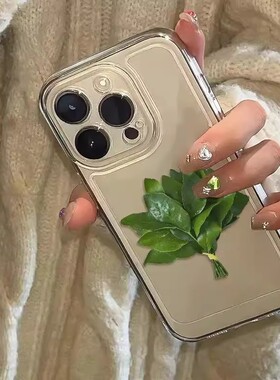 柚子叶转印贴纸创意赵露思同款去晦气添好运清新叶片防水透明贴纸