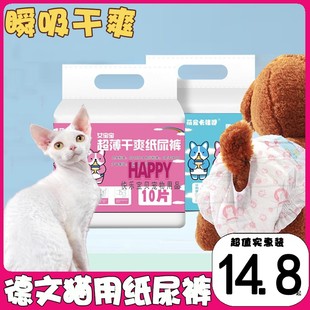 德文猫专用猫咪纸尿裤猫用尿不湿母猫避孕裤小猫拉拉裤防交配发情
