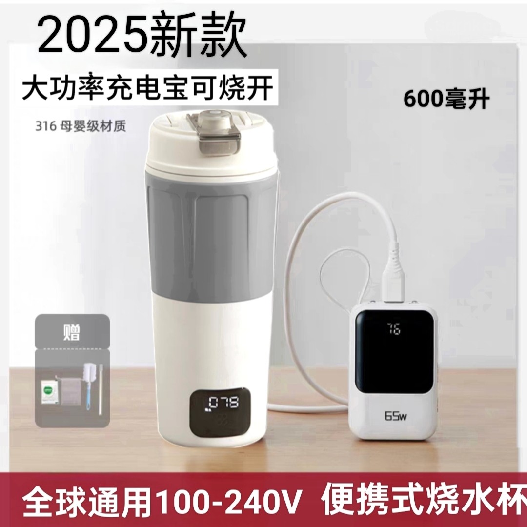 全球通用便携烧水杯小型迷你烧水壶出差旅行车载加热保温电热水杯