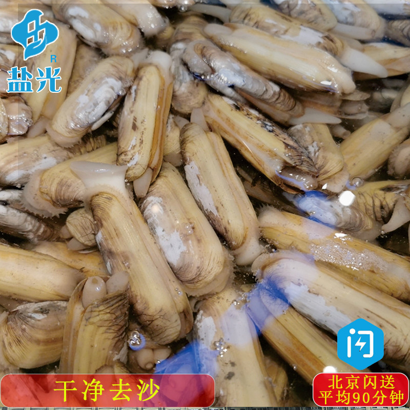 鲜活无沙竹蛏王缢蛏大蛏子新鲜海鲜水产每份15-25只 快递包鲜贝壳,水产肉类/新鲜蔬果/熟食,蛏子,淘宝优惠券,粉丝福利购,淘宝优惠卷