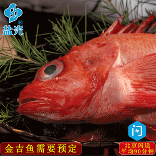 冰鲜新鲜金吉鱼海钓日料刺身食材 喜之次喜知次 海鱼需约 盐光