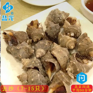 新鲜活小海螺7-15头每斤贝壳香波螺辣螺 牙签螺贝类青岛小海鲜
