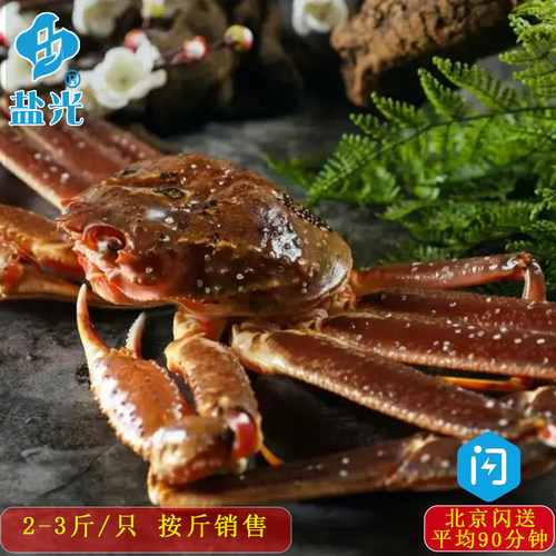 俄罗斯松叶蟹板鞋雪蟹2-3斤/只按斤销售2斤起拍 腿脚蟹 雪蟹