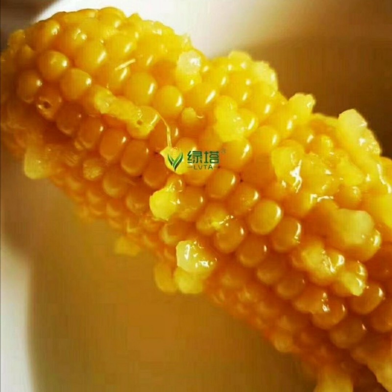 绿塔儿童玉米速冻黄糯甜非转基因图片